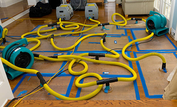 Professional Flood Damage Restoration technician working in Clawson, MI